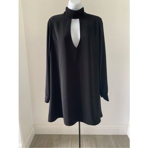 Long Sleeve Black Swing Dess